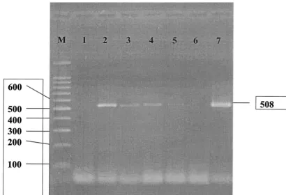 TABLE 3. Comparison of PCR and light microscopy for thedetection of E. bieneusi