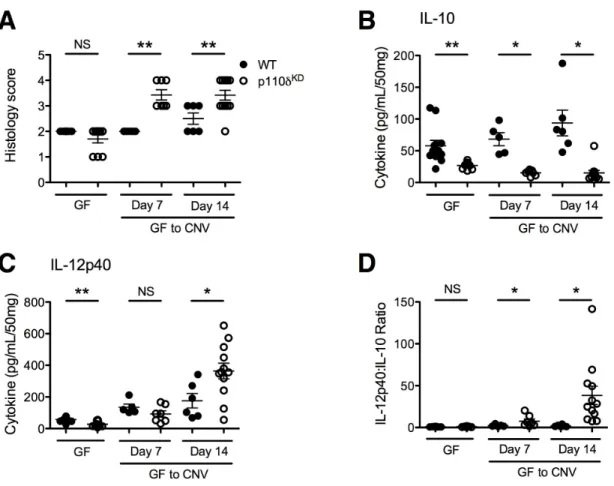 Figure 3.1. The enteric microbiota is required for the development of colitis in  p110δ KD  mice