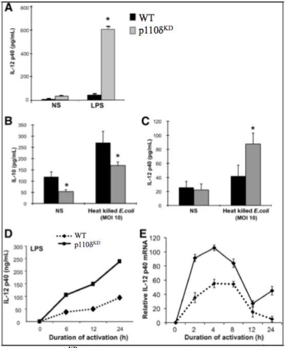 Figure 2.2. PI3K p110δ KD  mice display enhanced expression of IL-12p40. (A)  Splenocytes from WT (black bars) and p110δ KD  (grey bars) mice were not stimulated  (NS) or stimulated with LPS (1 µg/ml) for 24 hours