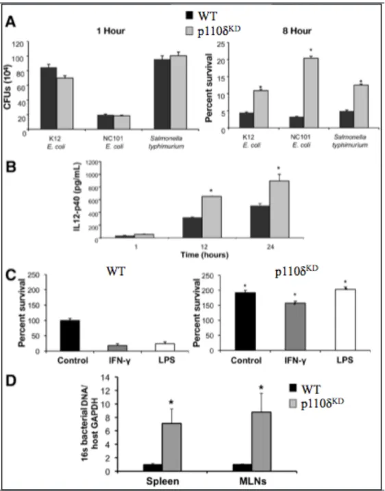 Figure 2.5. PI3K p110δ KD  BMDMs demonstrate defective bactericidal activity. (A)  WT and p110δ KD  BMDMs were cultured with K12 E