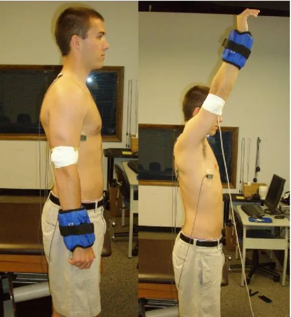 Figure 8: Forward Flexion 