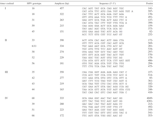 TABLE 2. Sequences of type-speciﬁc nested PCR primers used in this study