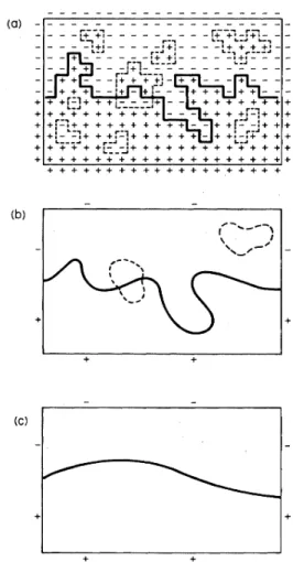 FIG. 1. Typical configuration of an Ising model with an in- in-terface viewed on different length scales