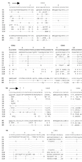 FIG. 6. Deduced amino acid sequences of representative scFvs against intimin (I1 to I19) and EspA (E1, E4, and E5)