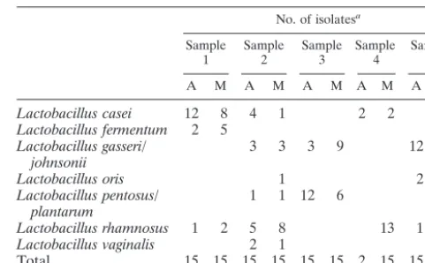 TABLE 1. Identiﬁcation of strains isolated on Rogosa agar