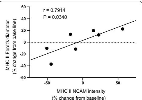 Fig. 2 Relationship between minimum Feret’s diameter and NCAM expression. MHC II minimum Feret’s diameter is positively correlated with MHC II NCAM intensity following resistance exercise training
