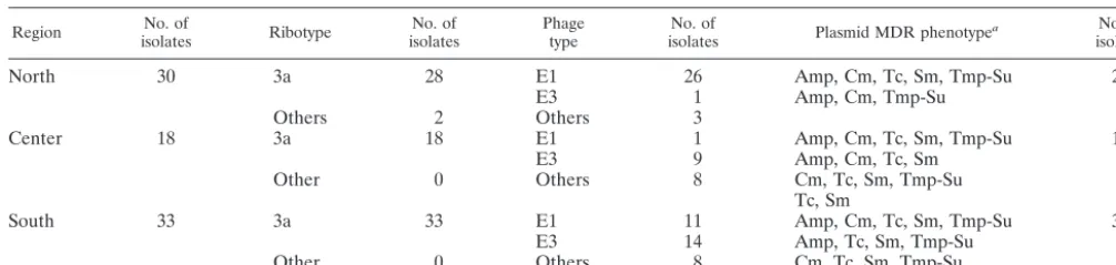 TABLE 1. Ribotypes and phage types of 81 epidemiologically independent MDR S. enterica serovar Typhi isolatesselected in Vietnam from 1995 to 2002