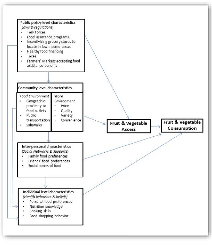 Figure 3.1: Applying the socio-ecological framework to F&amp;V access and consumption