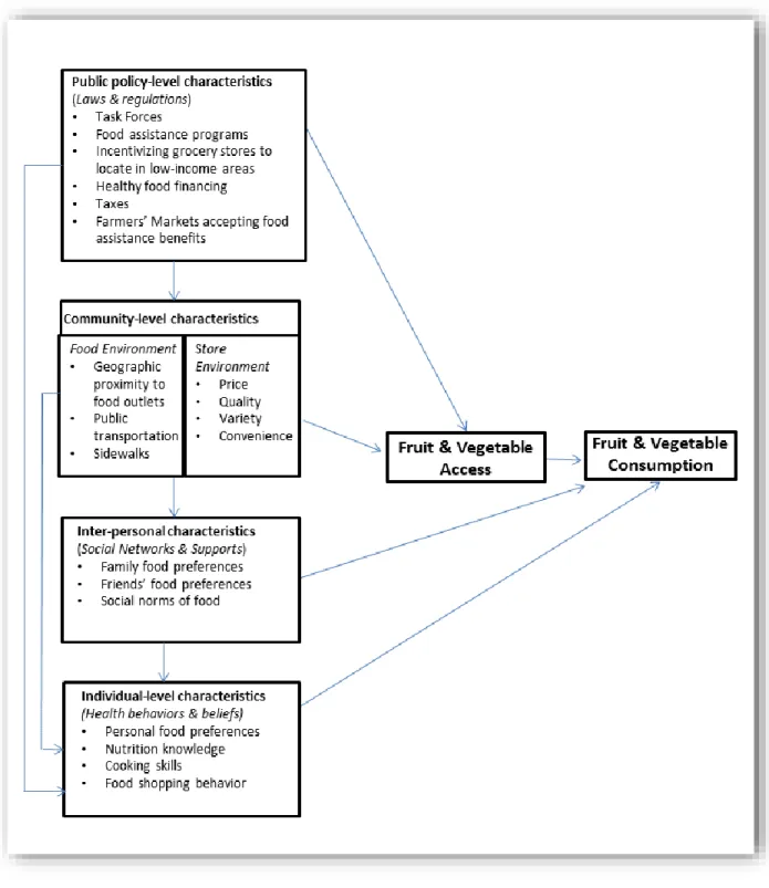 Figure 1.1: Applying the socio-ecological framework to F&amp;V access and consumption