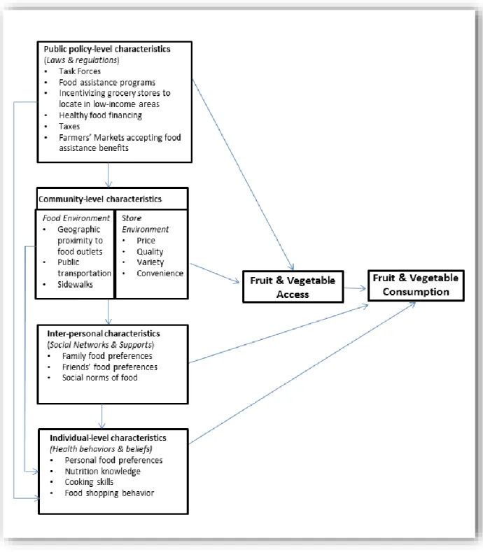 Figure 2.1: Applying the socio-ecological framework to F&amp;V access and consumption.