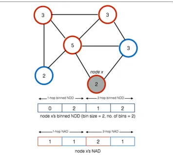 Fig. 2 Example of a node signature defined as a combined feature vector made up from NDD and NADtwo 2-hop neighbor nodes with the attributedegree, and the border color represents the node attributeattribute