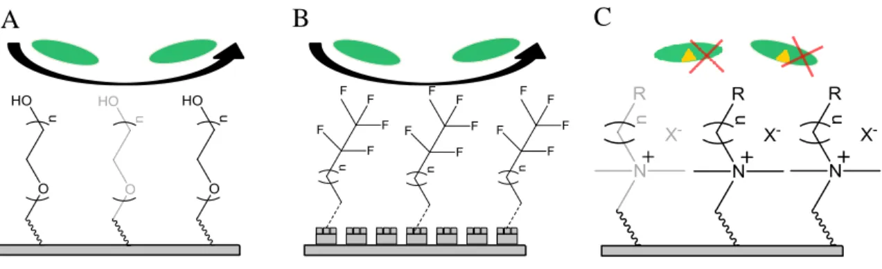 Figure  1.2  Passive  strategies  for  reducing  bacterial  adhesion  and  viability  on  a  surface