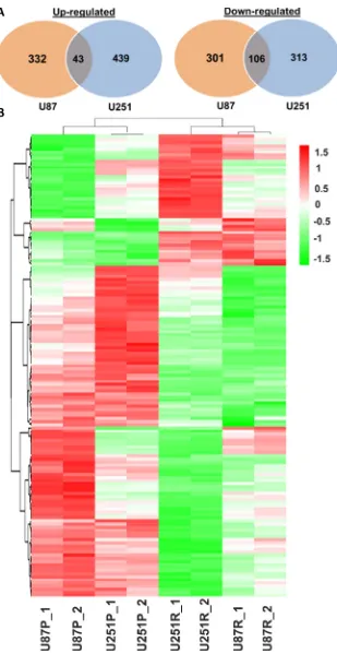 Figure 5: Distinct gene expression profiles of parental and TMZ-resistant glioblastoma cells