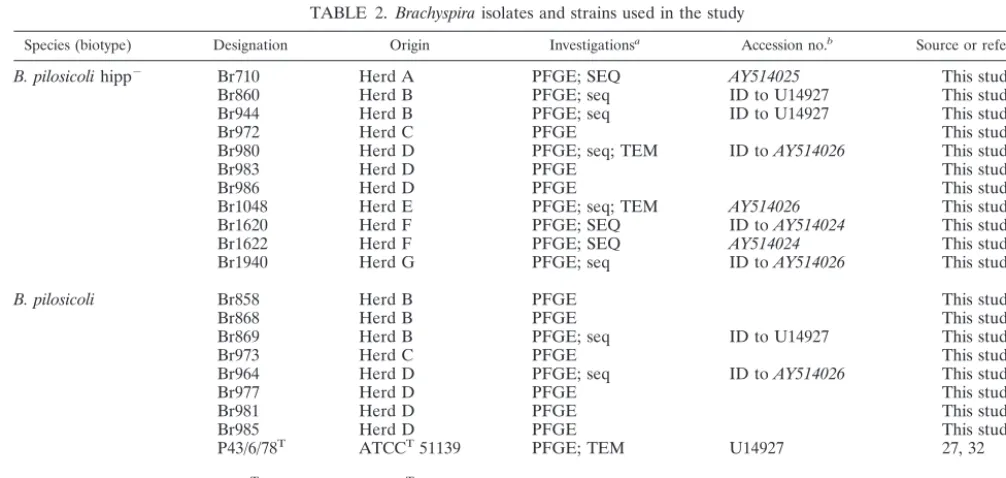 TABLE 1. Biochemical reaction scheme for porcine Brachyspira speciesa and proposed modiﬁcationb