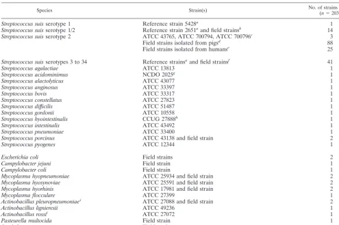 TABLE 1. Bacterial strains used in the PCR speciﬁcity test