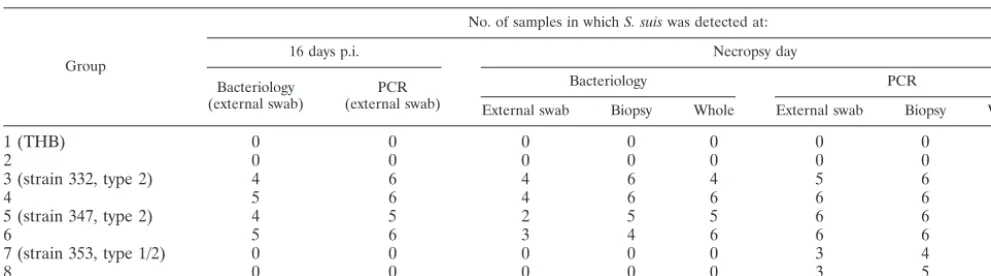 TABLE 4. Detection of S. suis serotype 2 or 1/2 by bacteriological analysis and PCRa