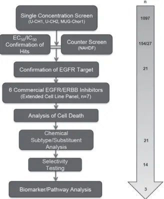 Figure 1. An overview of the screening cascade