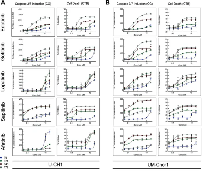 Figure 4. Apoptotic induction in U-CH1 (A) and UM-Chor1 (B). The Caspase-Glo ® 3/7 Assay and the CellTiter-Glo ® Luminescent Cell Viability Assay were used on separate assay plates to monitor cell viability and to determine induction of apoptosis upon trea
