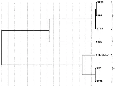 FIG. 2. Dendrogram showing genetic relationships of the 72 C. difﬁcile isolates based on composite sequence of six housekeeping genefragments