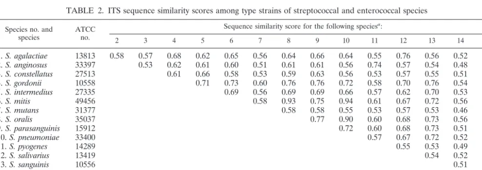 TABLE 2. ITS sequence similarity scores among type strains of streptococcal and enterococcal species