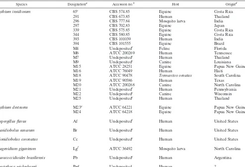 TABLE 2. Isolates of P. insidiosum and other pathogenic organisms used to test the speciﬁcity of the DNA probe (Fig