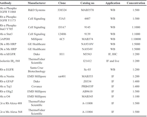 Table 1: Antibodies used