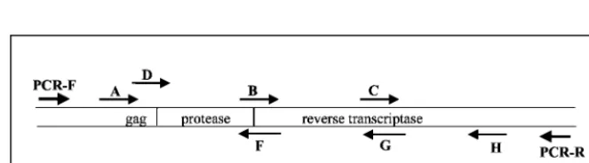 TABLE 1. Samples used for analysis
