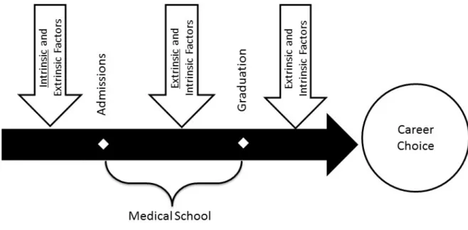 Figure 5: Factors determining a career choice in PC: a temporal approach