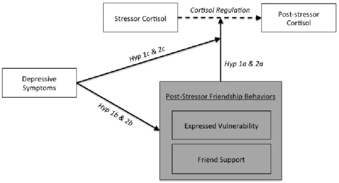 Figure 1: Conceptual model illustrating study hypotheses. 