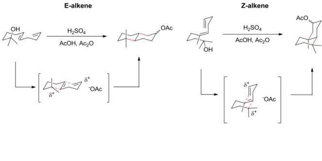 Figure 1-1. Stork-Eschenmoser Postulate. 