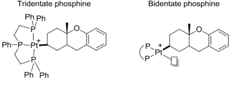 Figure 1-4.  Square planar structure of cationic P 2 Pt-alkyl complex with an open  coordination site suitable for β-H elimination