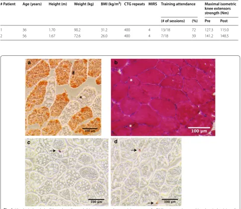 Fig. 1 Histological analysis of Vastus lateralis muscle biopsies pre‑ and post‑training program for DM1 patients