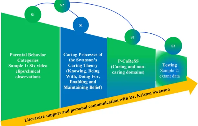 Figure 1.3. The development process of the P-CaReSS. 