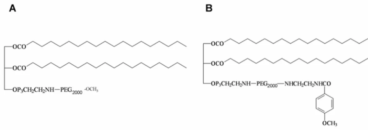 Figure 2.6 Chemical structures of DSPE-PEG (A) and DSPE-PEG-anisamide (B). 