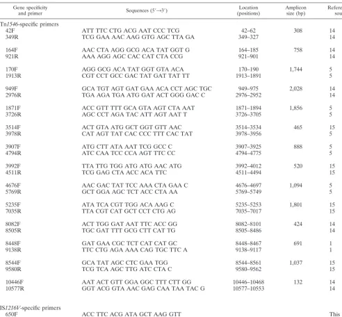 TABLE 1. Nucleotide sequences of PCR primers used in this study