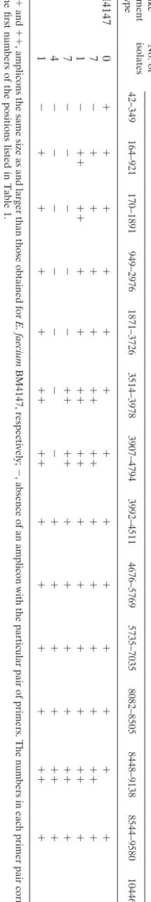 TABLE 2. Structural analysis of Tn1546-like elements by overlapping PCR