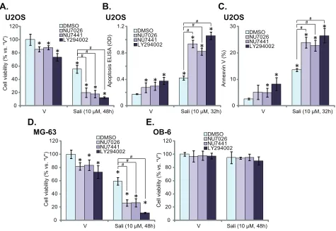 Figure 1: DNA-PK inhibitors dramatically potentiate salinomycin-induced cytotoxicity in OS cells