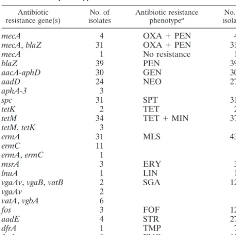 TABLE 3. Comparative analysis of the mecA� and mecA-negative isolates included in this study