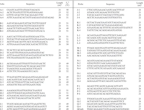TABLE 2. Oligonucleotide probes for detection and discrimination among ent genes