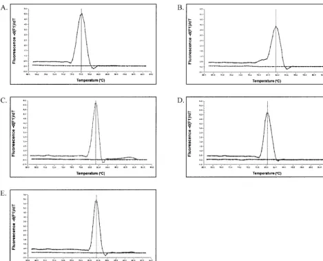FIG. 1. Speciﬁcity of LightCycler PCR for ampliﬁcation of C. albicansdetermined by melting curve analysis