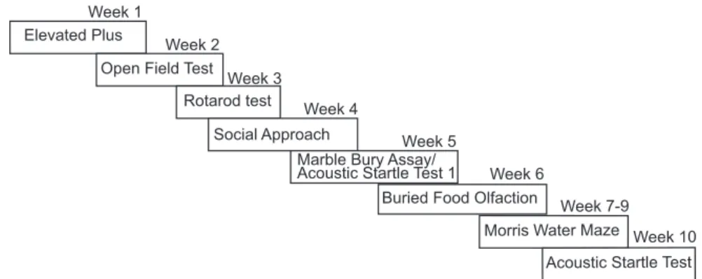 Figure 10. The time frame and order in which behavioral tests were administered.