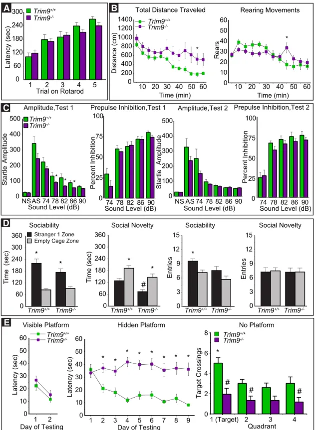 Figure 11. Genetic loss of Trim9 is associated with hippocampal-dependent defects in spatial learning and memory