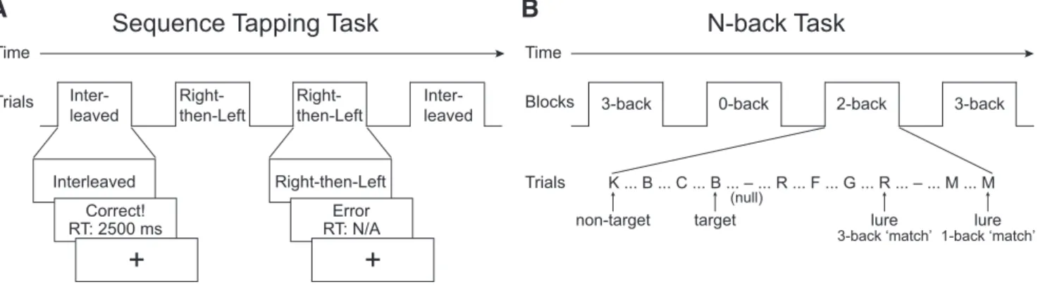 Figure 1. A, Sequence tapping task. Participants were trained and tested on two sequences: right-then-left and interleaved