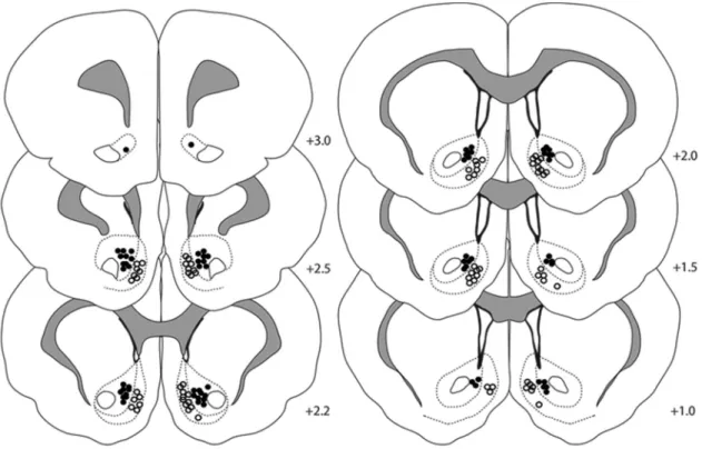 Figure 3. Behavioral responses after devaluation of a specific reinforcer in an operant test (A) and a consummatory test (B)