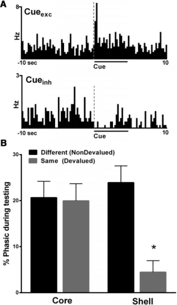 Figure 5. Encoding of cue-related information is significantly altered in the NAc shell, but not core, after reward devaluation