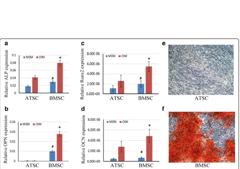 Fig. 1 Characterization of cell surface markers of ATSCs and BMSCs. Cell surface markers of ATSCs and BMSCs (both at passage 3) were analyzedusing flow cytometry