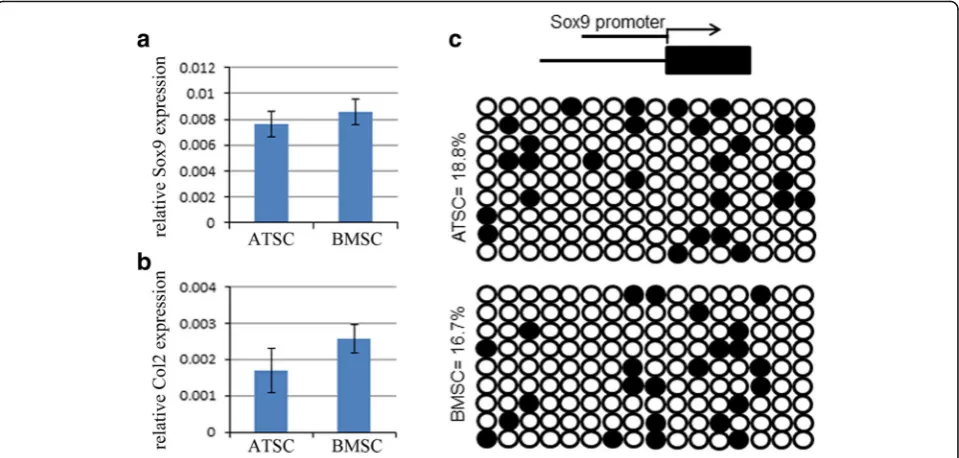 Fig. 5 BMSCs showed slightly stronger chondrogenic differentiation potential.subjected to CIM for 10 days
