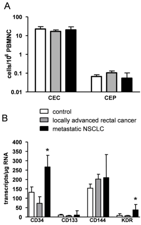 Figure 4Detection of ECFC in peripheral blood samplesDetection of ECFC in peripheral blood samples