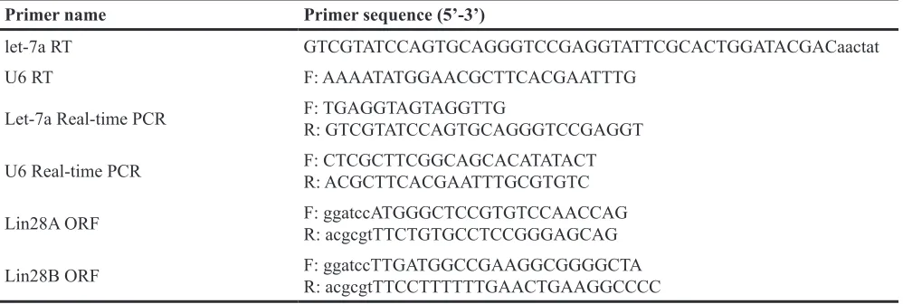 Table 3: Primers used in this research