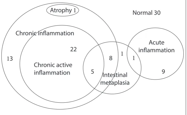 Fig. 1. Venn diagram of overlapping histological abnormalities in 90 controls. Most of the controls had chronic (active) inflammation, associated in some cases with intestinal metaplasia